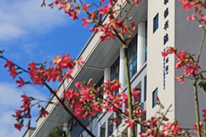 ������Ժ