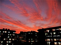 ѧ������